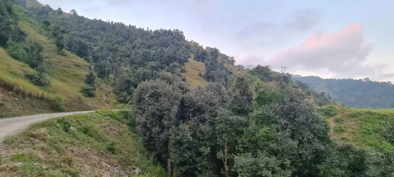 Bridge Valley Resort Shimla