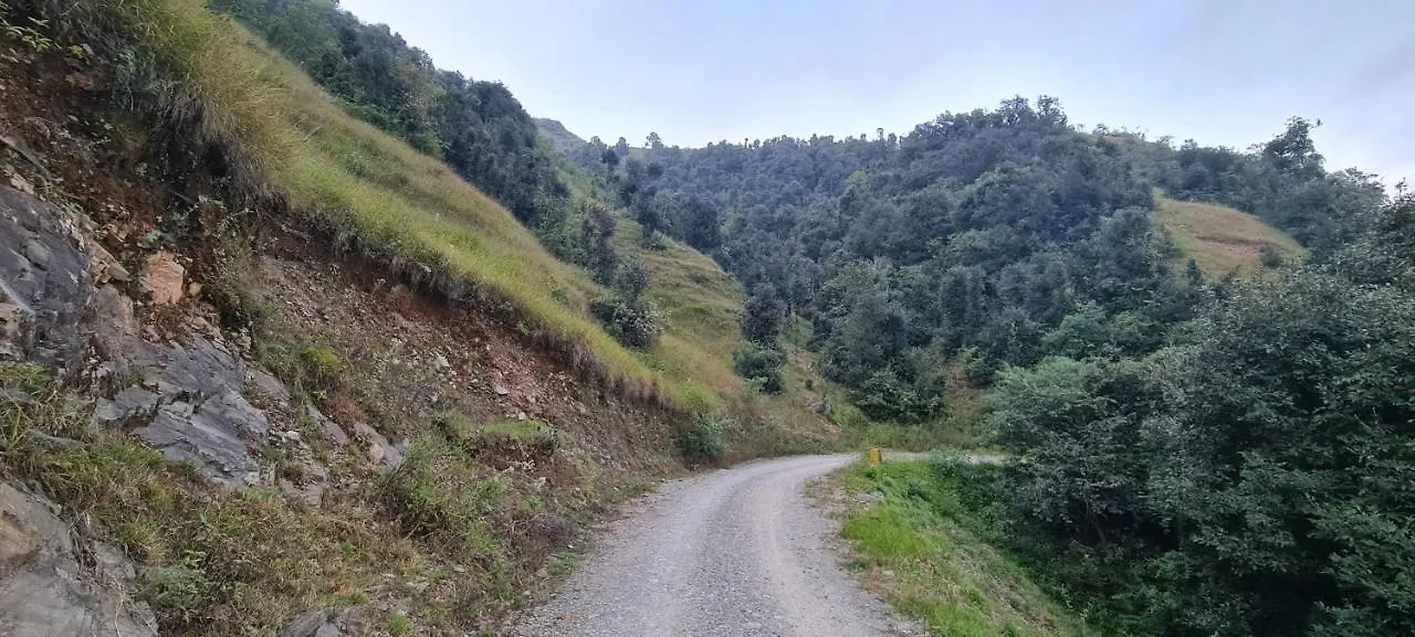 Bridge Valley Resort 0*, Shimla